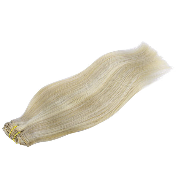 Ash Blonde Highlighted Platinum Blonde (17A/60A) Classic Clip in Hair Extensions (120g)